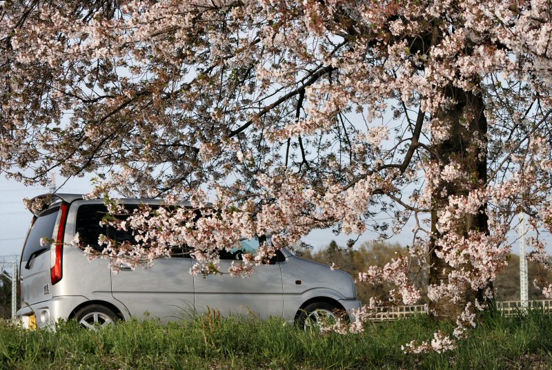 ���ԁ��y�큕�I�[�f�B�I���L