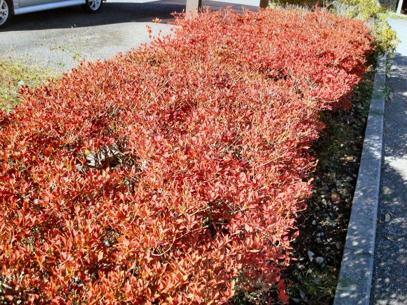 ���ԁ��y�큕�I�[�f�B�I���L