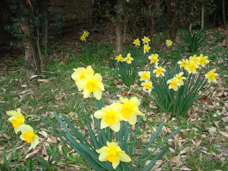 ���ԁ��y�큕�I�[�f�B�I���L