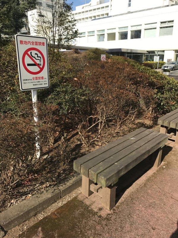 ���ԁ��y�큕�I�[�f�B�I���L