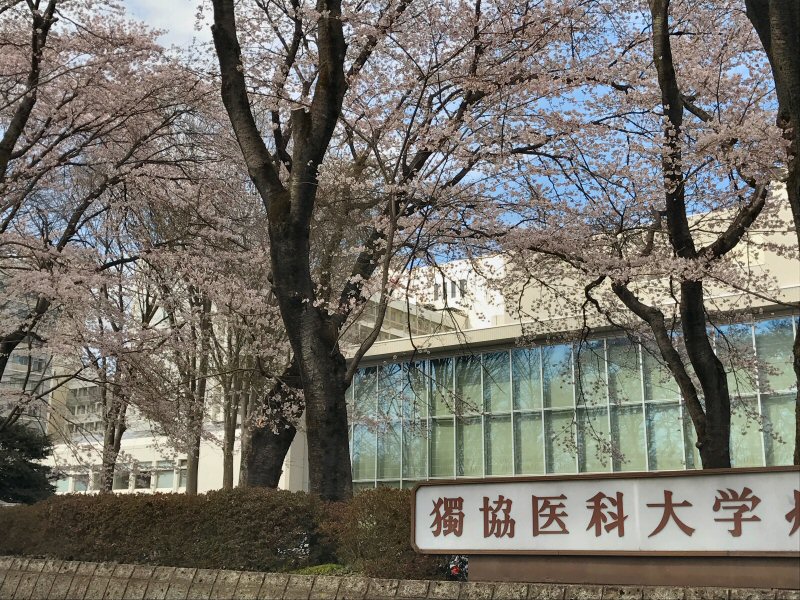 ���ԁ��y�큕�I�[�f�B�I���L