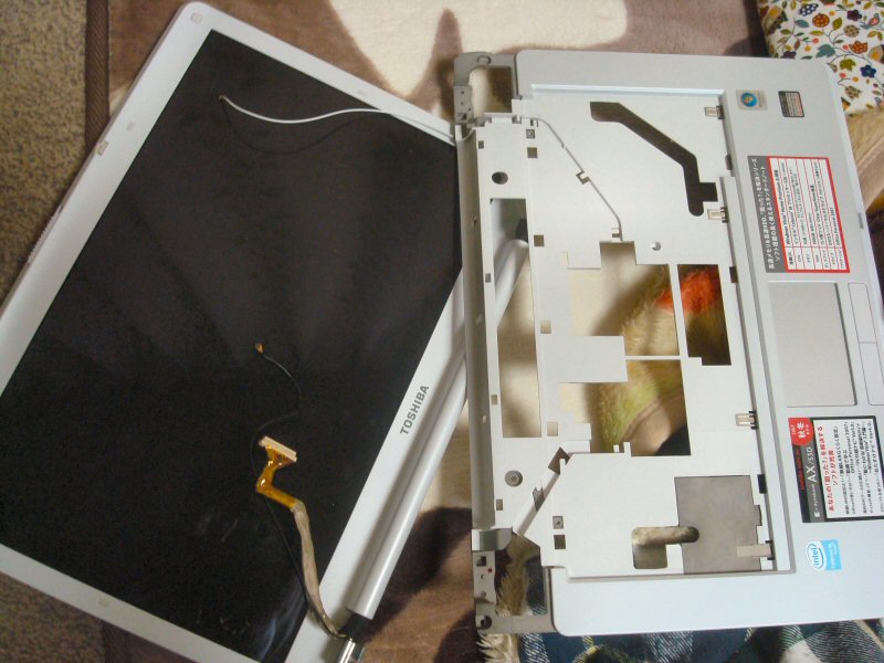 ���ԁ��y�큕�I�[�f�B�I���L