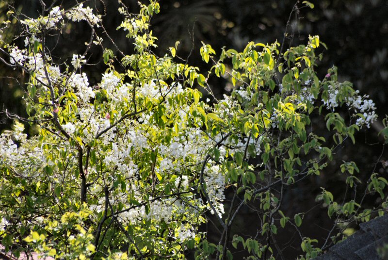 ���ԁ��y�큕�I�[�f�B�I���L