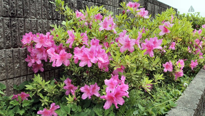 ���ԁ��y�큕�I�[�f�B�I���L