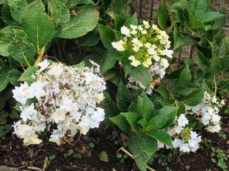 ���ԁ��y�큕�I�[�f�B�I���L