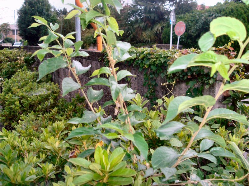 ���ԁ��y�큕�I�[�f�B�I���L