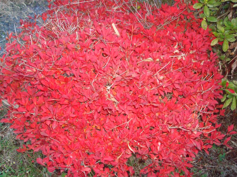 ���ԁ��y�큕�I�[�f�B�I���L