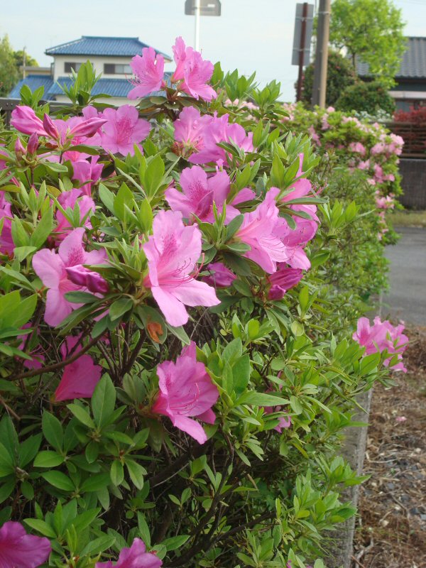 ���ԁ��y�큕�I�[�f�B�I���L