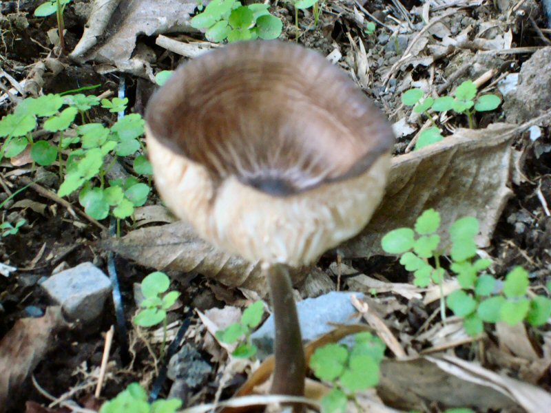 ���ԁ��y�큕�I�[�f�B�I���L