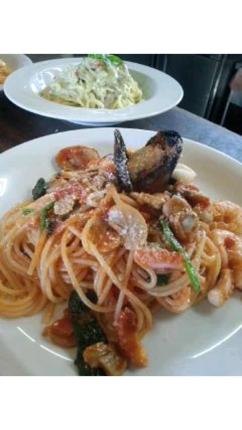 �V�F�t�̓��L