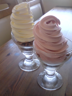 �V�F�t�̓��L