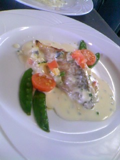 �V�F�t�̓��L