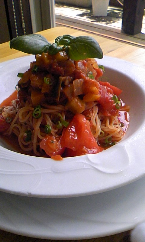 �V�F�t�̓��L