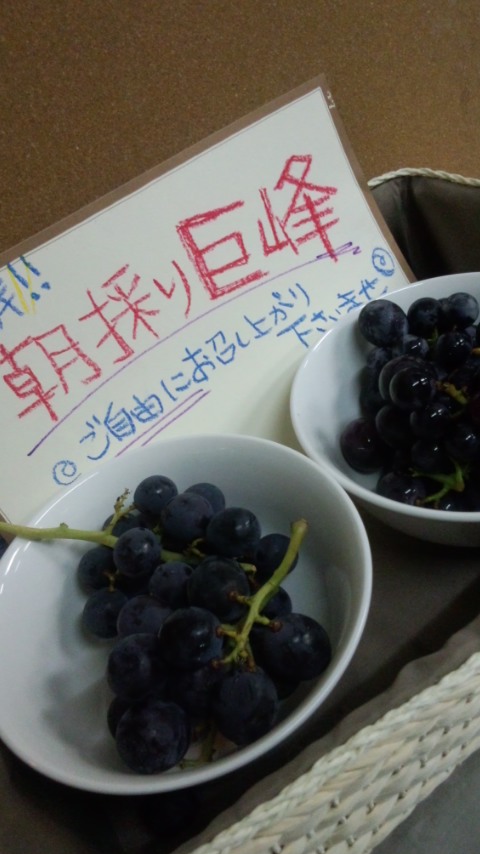 �V�F�t�̓��L