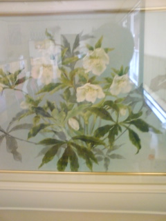 �V�F�t�̓��L