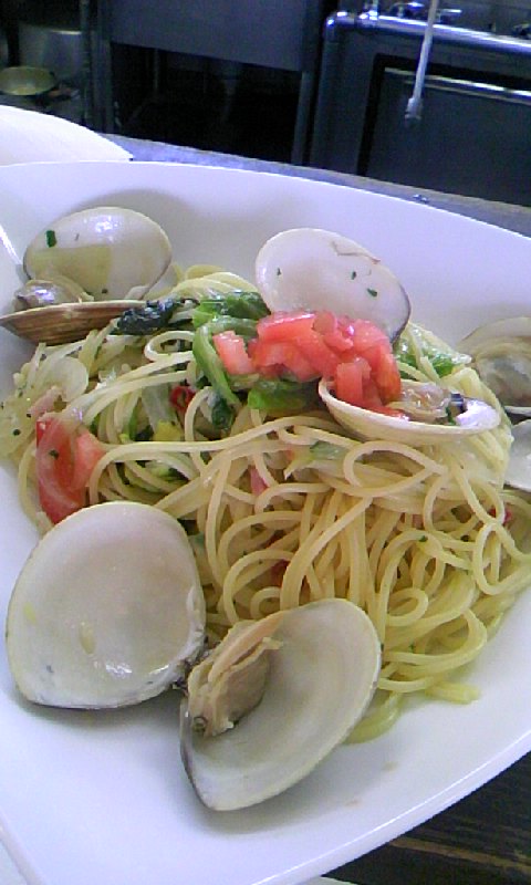 �V�F�t�̓��L