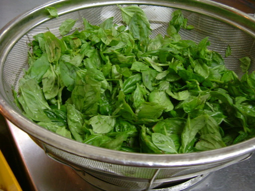 �V�F�t�̓��L