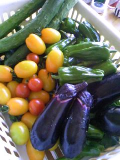 �V�F�t�̓��L