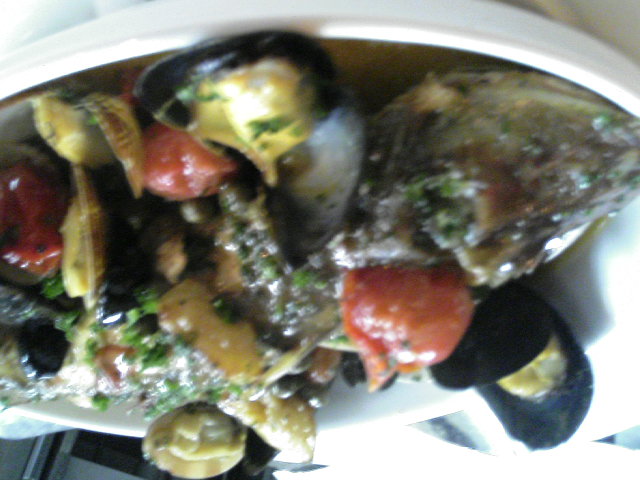 �V�F�t�̓��L