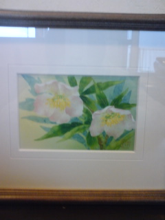 �V�F�t�̓��L