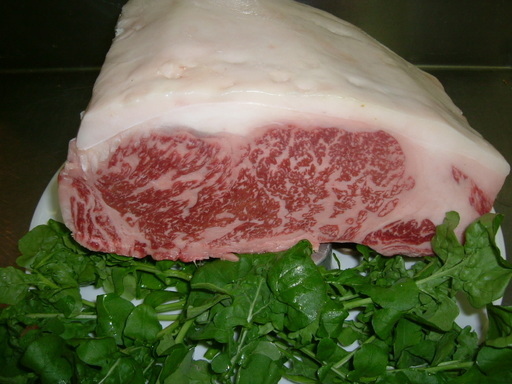 �V�F�t�̓��L