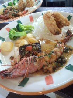 �V�F�t�̓��L