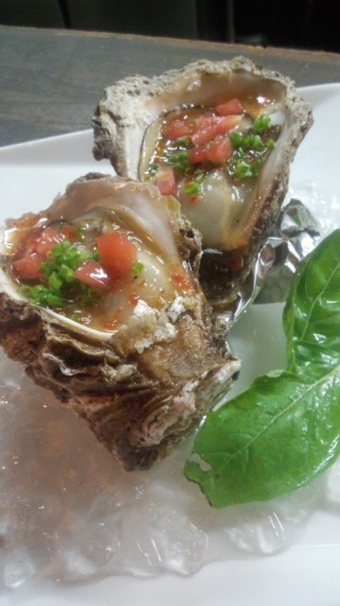 �V�F�t�̓��L