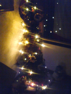 �V�F�t�̓��L