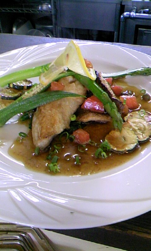 �V�F�t�̓��L