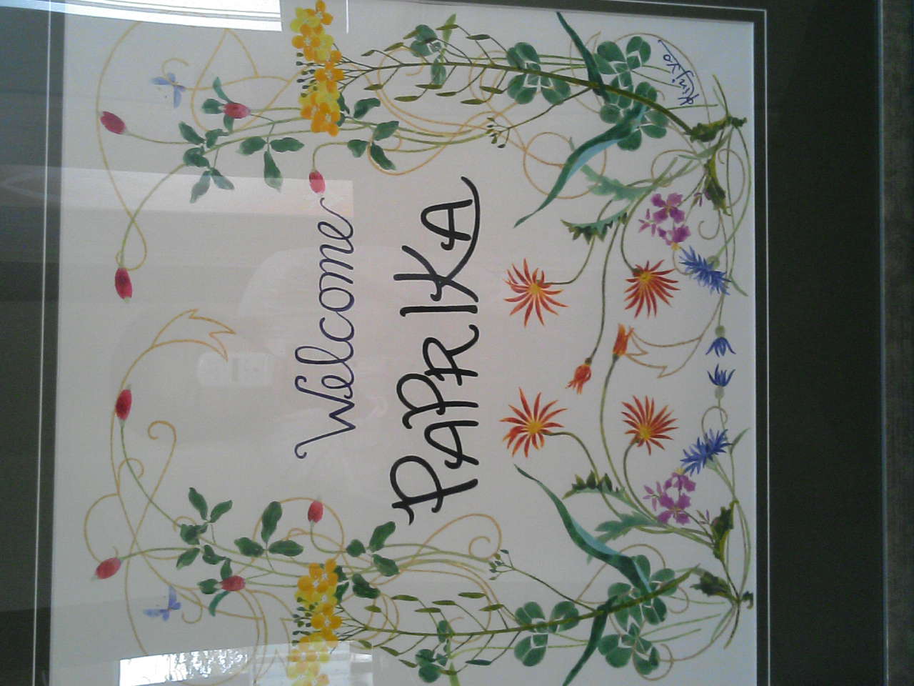 �V�F�t�̓��L