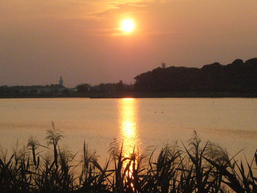 �����i�i���R�Ƃ̂ӂꂠ���j