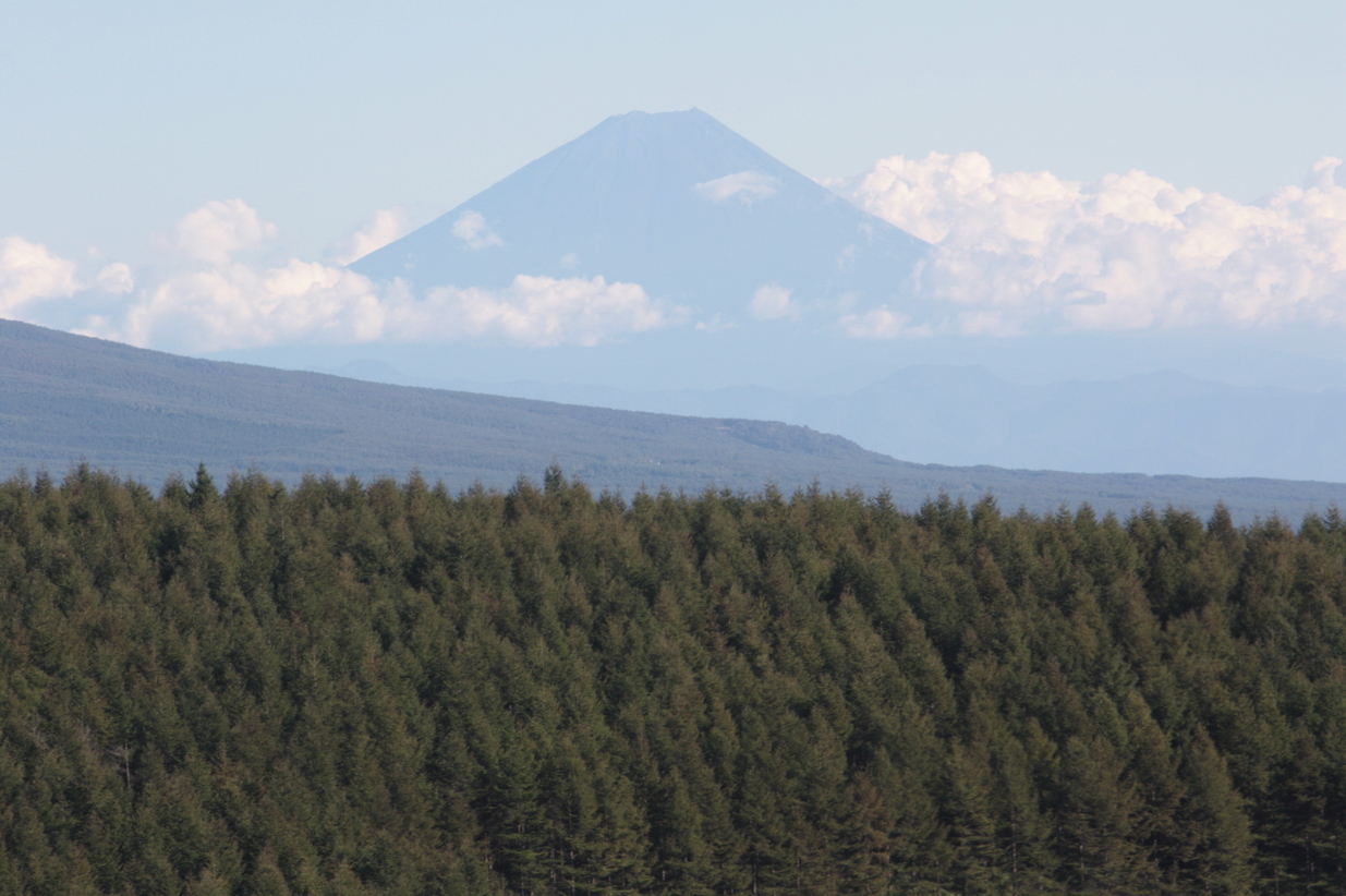 �����i�i���R�Ƃ̂ӂꂠ���j