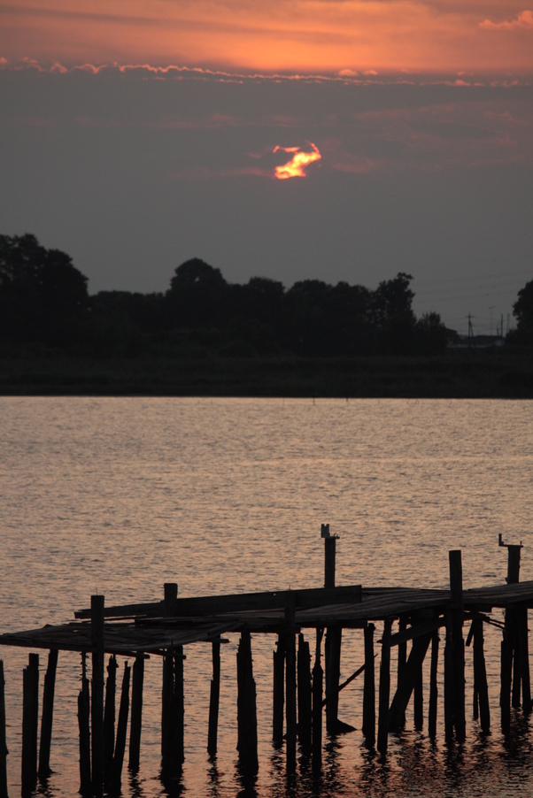 �����i�i���R�Ƃ̂ӂꂠ���j