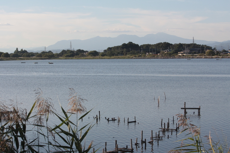 �����i�i���R�Ƃ̂ӂꂠ���j