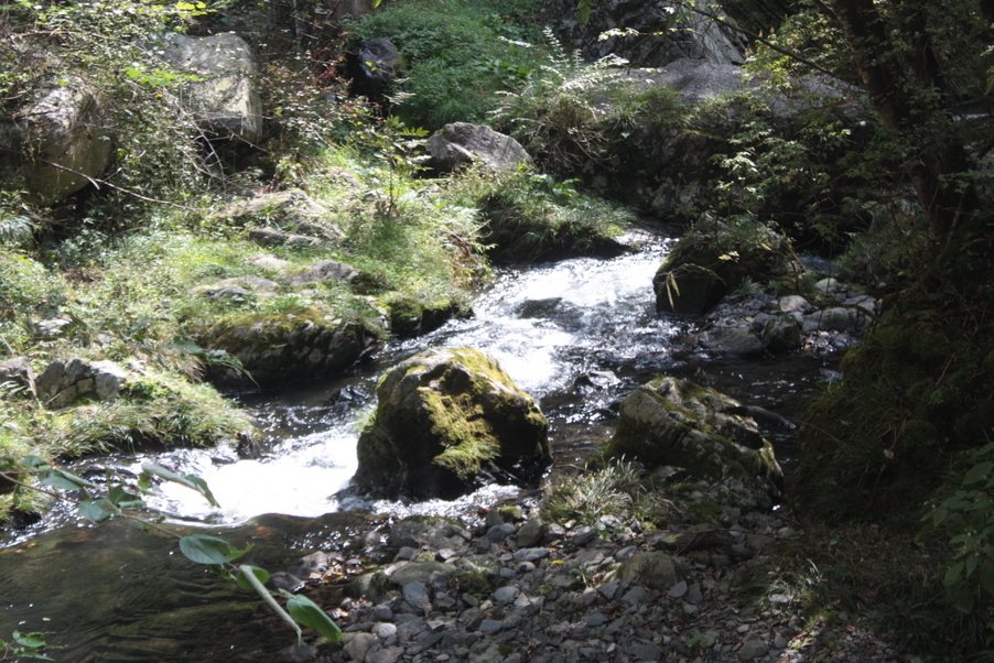 �����i�i���R�Ƃ̂ӂꂠ���j