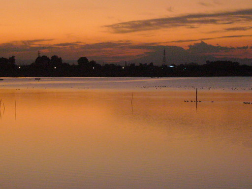 �����i�i���R�Ƃ̂ӂꂠ���j