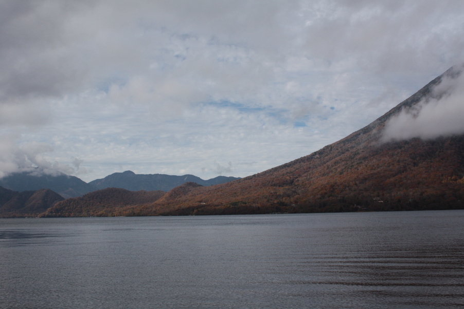 �����i�i���R�Ƃ̂ӂꂠ���j