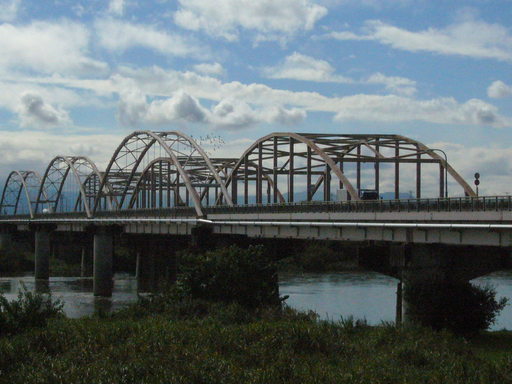 �����i�i���R�Ƃ̂ӂꂠ���j