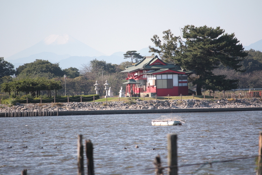 �����i�i���R�Ƃ̂ӂꂠ���j