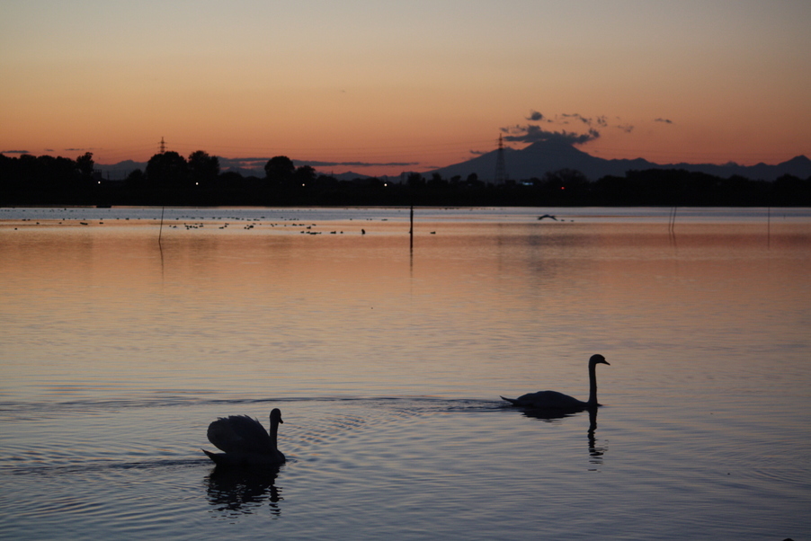 �����i�i���R�Ƃ̂ӂꂠ���j