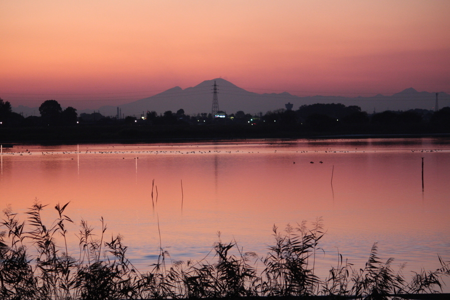 �����i�i���R�Ƃ̂ӂꂠ���j