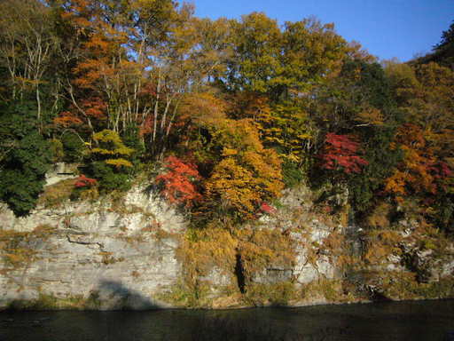 �����i�i���R�Ƃ̂ӂꂠ���j