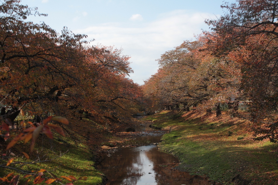 �����i�i���R�Ƃ̂ӂꂠ���j