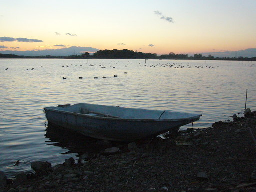 �����i�i���R�Ƃ̂ӂꂠ���j