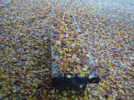 �����i�i���R�Ƃ̂ӂꂠ���j