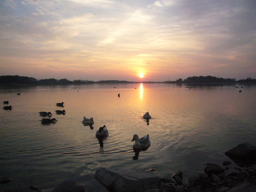 �����i�i���R�Ƃ̂ӂꂠ���j