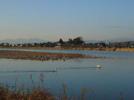 �����i�i���R�Ƃ̂ӂꂠ���j