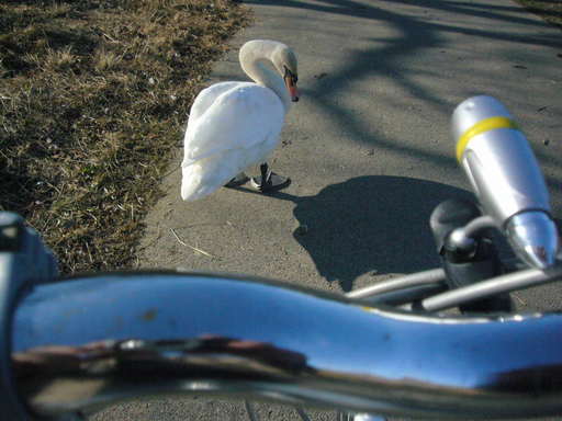 �����i�i���R�Ƃ̂ӂꂠ���j