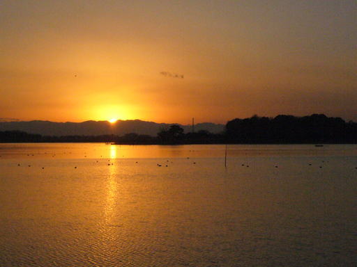 �����i�i���R�Ƃ̂ӂꂠ���j