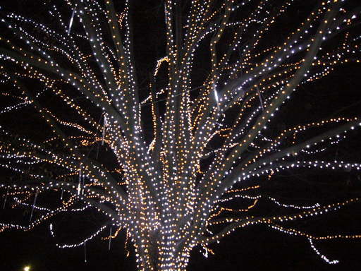 �����i�i���R�Ƃ̂ӂꂠ���j